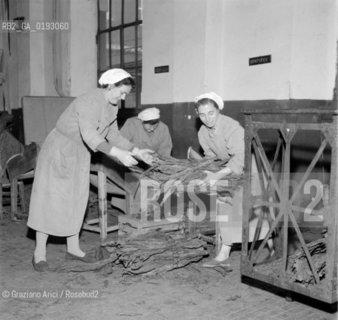 THE TOBACCO FACTORY IN VENICE - 196? © ARCHIVIO Graziano Arici/Rosebud2  / MANIFATTURA TABACCHI / FABBRICA