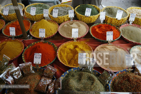 ( FRANCIA  )  PROVENCE-ALPES-COTE DAZUR ARLES : MERCATO DEL SABATO © 2003 Graziano Arici/Rosebud2 / GEO GASTRONOMIA SPEZIE