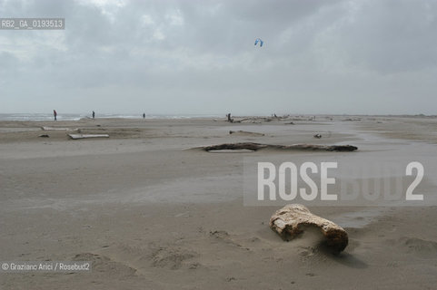 ( FRANCIA  )  PROVENCE-ALPES-COTE DAZUR ARLES : SPIAGGIA IN CAMARGUE © 2003 Graziano Arici/Rosebud2 / GEO