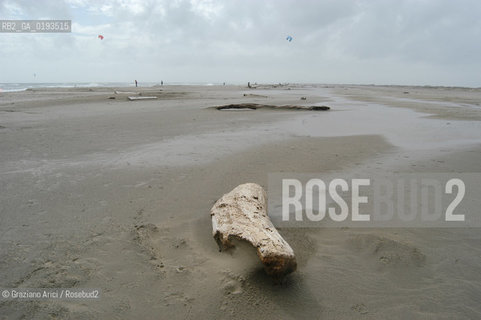 ( FRANCIA  )  PROVENCE-ALPES-COTE DAZUR ARLES : SPIAGGIA IN CAMARGUE © 2003 Graziano Arici/Rosebud2 / GEO