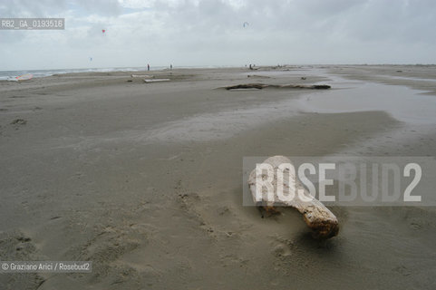 ( FRANCIA  )  PROVENCE-ALPES-COTE DAZUR ARLES : SPIAGGIA IN CAMARGUE © 2003 Graziano Arici/Rosebud2 / GEO