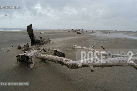 ( FRANCIA  )  PROVENCE-ALPES-COTE DAZUR ARLES : SPIAGGIA IN CAMARGUE © 2003 Graziano Arici/Rosebud2 / GEO
