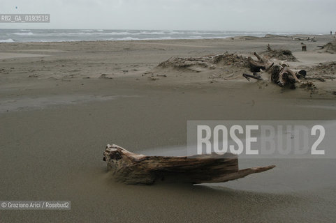 ( FRANCIA  )  PROVENCE-ALPES-COTE DAZUR ARLES : SPIAGGIA IN CAMARGUE © 2003 Graziano Arici/Rosebud2 / GEO