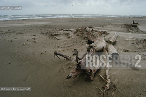 ( FRANCIA  )  PROVENCE-ALPES-COTE DAZUR ARLES : SPIAGGIA IN CAMARGUE © 2003 Graziano Arici/Rosebud2 / GEO