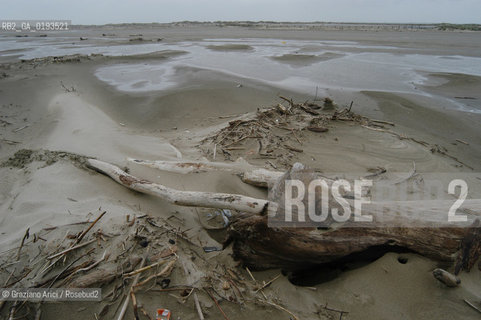 ( FRANCIA  )  PROVENCE-ALPES-COTE DAZUR ARLES : SPIAGGIA IN CAMARGUE © 2003 Graziano Arici/Rosebud2 / GEO