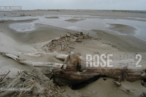 ( FRANCIA  )  PROVENCE-ALPES-COTE DAZUR ARLES : SPIAGGIA IN CAMARGUE © 2003 Graziano Arici/Rosebud2 / GEO