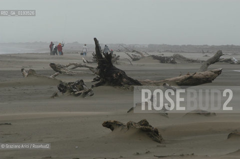 ( FRANCIA  )  PROVENCE-ALPES-COTE DAZUR ARLES : SPIAGGIA IN CAMARGUE © 2003 Graziano Arici/Rosebud2 / GEO