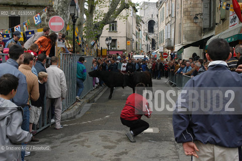 ( FRANCIA  )  PROVENCE-ALPES-COTE DAZUR ARLES : FERIA DI PASQUA SPETTACOLO FOLKLORISTICO ABRIVADO © 2003 Graziano Arici/Rosebud2 / GEO COSTUME CAVALLO GUARDIANS