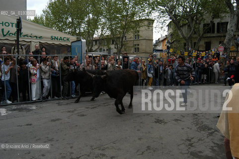 ( FRANCIA  )  PROVENCE-ALPES-COTE DAZUR ARLES : FERIA DI PASQUA SPETTACOLO FOLKLORISTICO ABRIVADO © 2003 Graziano Arici/Rosebud2 / GEO COSTUME CAVALLO GUARDIANS