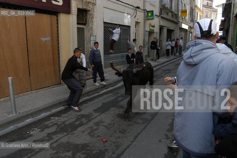 ( FRANCIA  )  PROVENCE-ALPES-COTE DAZUR ARLES : FERIA DI PASQUA SPETTACOLO FOLKLORISTICO ABRIVADO © 2003 Graziano Arici/Rosebud2 / GEO COSTUME CAVALLO GUARDIANS
