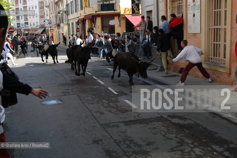 ( FRANCIA  )  PROVENCE-ALPES-COTE DAZUR ARLES : FERIA DI PASQUA SPETTACOLO FOLKLORISTICO ABRIVADO © 2003 Graziano Arici/Rosebud2 / GEO COSTUME CAVALLO GUARDIANS