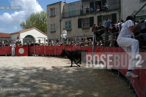 ( FRANCIA  )  PROVENCE-ALPES-COTE DAZUR ARLES : FERIA DI PASQUA SPETTACOLO FOLKLORISTICO COURSE CAMARGUES © 1999 Graziano Arici/Rosebud2 / GEO  GUARDIANS TORO