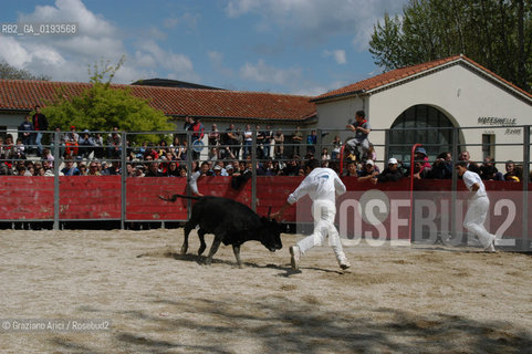 ( FRANCIA  )  PROVENCE-ALPES-COTE DAZUR ARLES : FERIA DI PASQUA SPETTACOLO FOLKLORISTICO COURSE CAMARGUES © 1999 Graziano Arici/Rosebud2 / GEO  GUARDIANS TORO