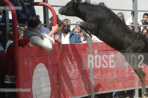 ( FRANCIA  )  PROVENCE-ALPES-COTE DAZUR ARLES : FERIA DI PASQUA SPETTACOLO FOLKLORISTICO COURSE CAMARGUES © 1999 Graziano Arici/Rosebud2 / GEO  GUARDIANS TORO