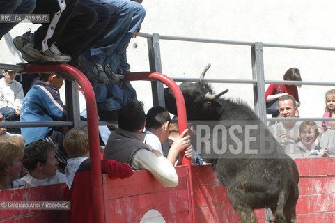 ( FRANCIA  )  PROVENCE-ALPES-COTE DAZUR ARLES : FERIA DI PASQUA SPETTACOLO FOLKLORISTICO COURSE CAMARGUES © 1999 Graziano Arici/Rosebud2 / GEO  GUARDIANS TORO