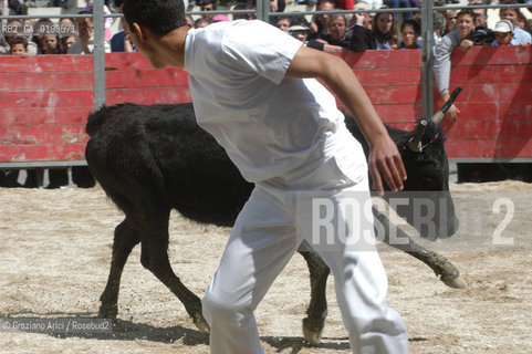 ( FRANCIA  )  PROVENCE-ALPES-COTE DAZUR ARLES : FERIA DI PASQUA SPETTACOLO FOLKLORISTICO COURSE CAMARGUES © 1999 Graziano Arici/Rosebud2 / GEO  GUARDIANS TORO