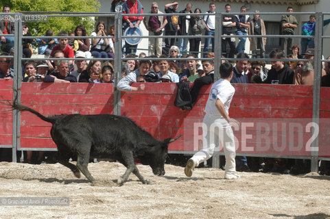 ( FRANCIA  )  PROVENCE-ALPES-COTE DAZUR ARLES : FERIA DI PASQUA SPETTACOLO FOLKLORISTICO COURSE CAMARGUES © 1999 Graziano Arici/Rosebud2 / GEO  GUARDIANS TORO
