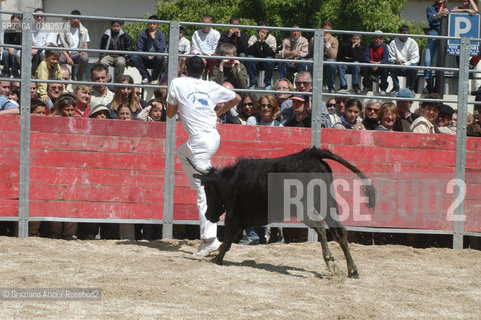 ( FRANCIA  )  PROVENCE-ALPES-COTE DAZUR ARLES : FERIA DI PASQUA SPETTACOLO FOLKLORISTICO COURSE CAMARGUES © 1999 Graziano Arici/Rosebud2 / GEO  GUARDIANS TORO