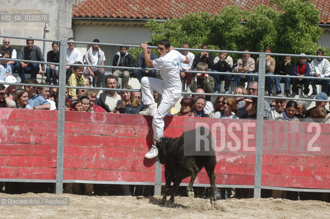 ( FRANCIA  )  PROVENCE-ALPES-COTE DAZUR ARLES : FERIA DI PASQUA SPETTACOLO FOLKLORISTICO COURSE CAMARGUES © 1999 Graziano Arici/Rosebud2 / GEO  GUARDIANS TORO