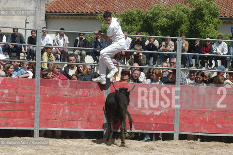 ( FRANCIA  )  PROVENCE-ALPES-COTE DAZUR ARLES : FERIA DI PASQUA SPETTACOLO FOLKLORISTICO COURSE CAMARGUES © 1999 Graziano Arici/Rosebud2 / GEO  GUARDIANS TORO