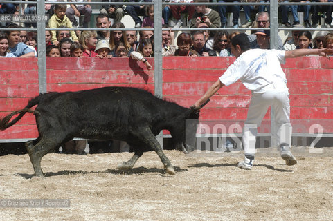( FRANCIA  )  PROVENCE-ALPES-COTE DAZUR ARLES : FERIA DI PASQUA SPETTACOLO FOLKLORISTICO COURSE CAMARGUES © 1999 Graziano Arici/Rosebud2 / GEO  GUARDIANS TORO