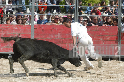 ( FRANCIA  )  PROVENCE-ALPES-COTE DAZUR ARLES : FERIA DI PASQUA SPETTACOLO FOLKLORISTICO COURSE CAMARGUES © 1999 Graziano Arici/Rosebud2 / GEO  GUARDIANS TORO