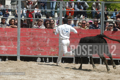 ( FRANCIA  )  PROVENCE-ALPES-COTE DAZUR ARLES : FERIA DI PASQUA SPETTACOLO FOLKLORISTICO COURSE CAMARGUES © 1999 Graziano Arici/Rosebud2 / GEO  GUARDIANS TORO