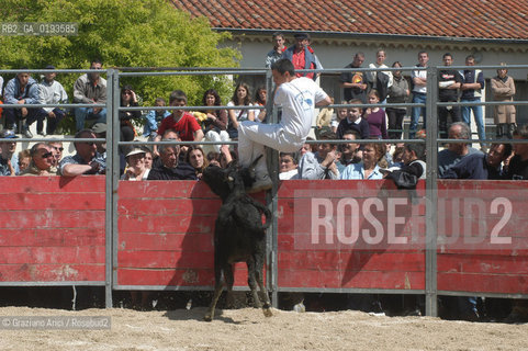 ( FRANCIA  )  PROVENCE-ALPES-COTE DAZUR ARLES : FERIA DI PASQUA SPETTACOLO FOLKLORISTICO COURSE CAMARGUES © 1999 Graziano Arici/Rosebud2 / GEO  GUARDIANS TORO