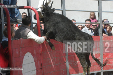 ( FRANCIA  )  PROVENCE-ALPES-COTE DAZUR ARLES : FERIA DI PASQUA SPETTACOLO FOLKLORISTICO COURSE CAMARGUES © 1999 Graziano Arici/Rosebud2 / GEO  GUARDIANS TORO
