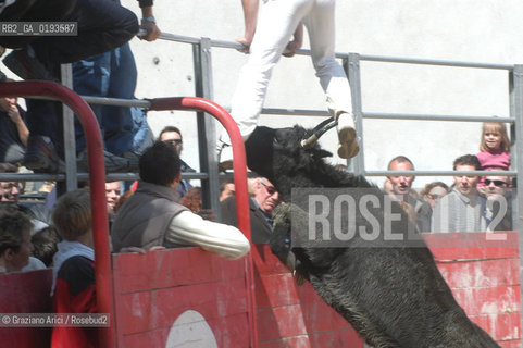 ( FRANCIA  )  PROVENCE-ALPES-COTE DAZUR ARLES : FERIA DI PASQUA SPETTACOLO FOLKLORISTICO COURSE CAMARGUES © 1999 Graziano Arici/Rosebud2 / GEO  GUARDIANS TORO