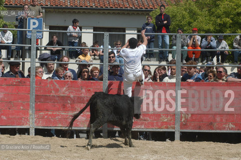 ( FRANCIA  )  PROVENCE-ALPES-COTE DAZUR ARLES : FERIA DI PASQUA SPETTACOLO FOLKLORISTICO COURSE CAMARGUES © 1999 Graziano Arici/Rosebud2 / GEO  GUARDIANS TORO