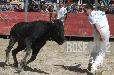 ( FRANCIA  )  PROVENCE-ALPES-COTE DAZUR ARLES : FERIA DI PASQUA SPETTACOLO FOLKLORISTICO COURSE CAMARGUES © 1999 Graziano Arici/Rosebud2 / GEO  GUARDIANS TORO