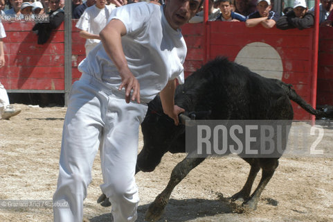 ( FRANCIA  )  PROVENCE-ALPES-COTE DAZUR ARLES : FERIA DI PASQUA SPETTACOLO FOLKLORISTICO COURSE CAMARGUES © 1999 Graziano Arici/Rosebud2 / GEO  GUARDIANS TORO