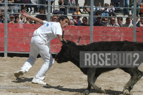 ( FRANCIA  )  PROVENCE-ALPES-COTE DAZUR ARLES : FERIA DI PASQUA SPETTACOLO FOLKLORISTICO COURSE CAMARGUES © 1999 Graziano Arici/Rosebud2 / GEO  GUARDIANS TORO
