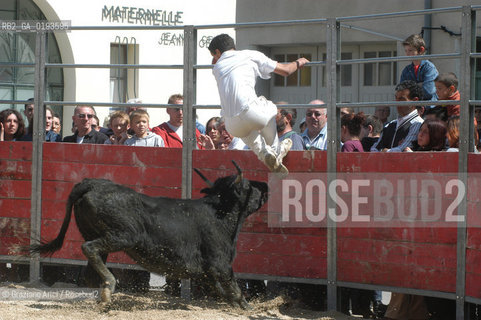( FRANCIA  )  PROVENCE-ALPES-COTE DAZUR ARLES : FERIA DI PASQUA SPETTACOLO FOLKLORISTICO COURSE CAMARGUES © 1999 Graziano Arici/Rosebud2 / GEO  GUARDIANS TORO
