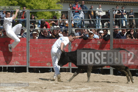 ( FRANCIA  )  PROVENCE-ALPES-COTE DAZUR ARLES : FERIA DI PASQUA SPETTACOLO FOLKLORISTICO COURSE CAMARGUES © 1999 Graziano Arici/Rosebud2 / GEO  GUARDIANS TORO