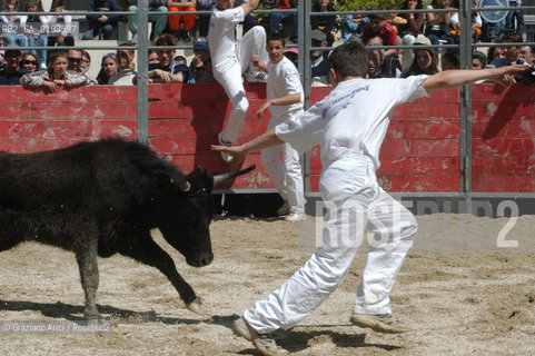 ( FRANCIA  )  PROVENCE-ALPES-COTE DAZUR ARLES : FERIA DI PASQUA SPETTACOLO FOLKLORISTICO COURSE CAMARGUES © 1999 Graziano Arici/Rosebud2 / GEO  GUARDIANS TORO