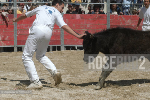 ( FRANCIA  )  PROVENCE-ALPES-COTE DAZUR ARLES : FERIA DI PASQUA SPETTACOLO FOLKLORISTICO COURSE CAMARGUES © 1999 Graziano Arici/Rosebud2 / GEO  GUARDIANS TORO