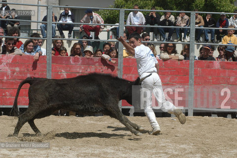 ( FRANCIA  )  PROVENCE-ALPES-COTE DAZUR ARLES : FERIA DI PASQUA SPETTACOLO FOLKLORISTICO COURSE CAMARGUES © 1999 Graziano Arici/Rosebud2 / GEO  GUARDIANS TORO
