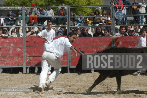 ( FRANCIA  )  PROVENCE-ALPES-COTE DAZUR ARLES : FERIA DI PASQUA SPETTACOLO FOLKLORISTICO COURSE CAMARGUES © 1999 Graziano Arici/Rosebud2 / GEO  GUARDIANS TORO