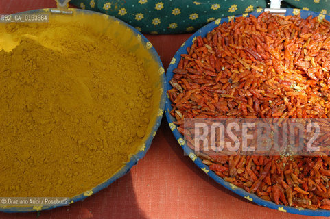 ( FRANCIA  )  PROVENCE-ALPES-COTE DAZUR ARLES : MERCATO DEL SABATO © 2003 Graziano Arici/Rosebud2 / GEO GASTRONOMIA SPEZIE