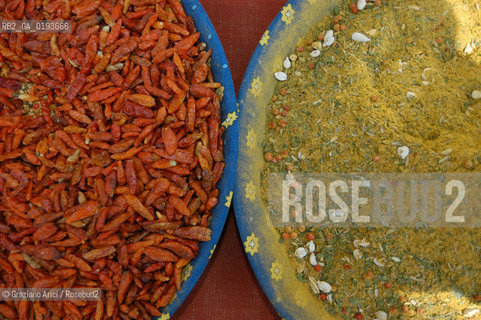 ( FRANCIA  )  PROVENCE-ALPES-COTE DAZUR ARLES : MERCATO DEL SABATO © 2003 Graziano Arici/Rosebud2 / GEO GASTRONOMIA SPEZIE