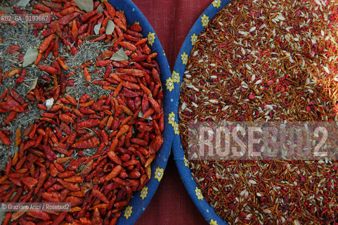 ( FRANCIA  )  PROVENCE-ALPES-COTE DAZUR ARLES : MERCATO DEL SABATO © 2003 Graziano Arici/Rosebud2 / GEO GASTRONOMIA SPEZIE