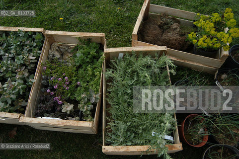 ( FRANCIA  )  MIDI-PYRENEES  ALTIPIANO DELLAUBRAC LAGUIOLE : RISTORANTE E ALBERGO DELLO CHEF MICHEL BRAS - ERBE AROMATICHE  © 2003 Graziano Arici/Rosebud2 / GEO / GASTRONOMIA / CUOCO