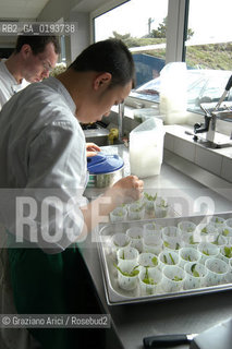( FRANCIA  )  MIDI-PYRENEES  ALTIPIANO DELLAUBRAC LAGUIOLE : RISTORANTE E ALBERGO DELLO CHEF MICHEL BRAS - PREPARAZIONE DEI PIATTI IN CUCINA  © 2003 Graziano Arici/Rosebud2 / GEO / GASTRONOMIA / CUOCO