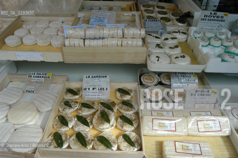 ( FRANCIA  )  PROVENCE-ALPES-COTE DAZUR ARLES : MERCATO DEL SABATO © 2003 Graziano Arici/Rosebud2 / GEO GASTRONOMIA FORMAGGIO.