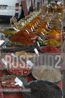 ( FRANCIA  )  PROVENCE-ALPES-COTE DAZUR ARLES : MERCATO DEL SABATO © 2003 Graziano Arici/Rosebud2 / GEO GASTRONOMIA SPEZIE