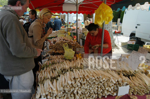 ( FRANCIA  )  PROVENCE-ALPES-COTE DAZUR ARLES : MERCATO DEL SABATO © 2003 Graziano Arici/Rosebud2 / GEO GASTRONOMIA ASPARAGI.