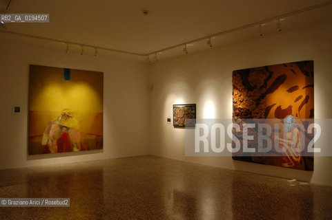 50¡ ESPOSIZIONE INTERNAZIONALE DARTE LA BIENNALE DI VENEZIA : MUSEO CORRER Pittura/Painting: Da Rauschenberg a Murakami, 1964-2003 - CLEMENTE, KIEFER E SCHNABEL - ©Graziano Arici/Rosebud2