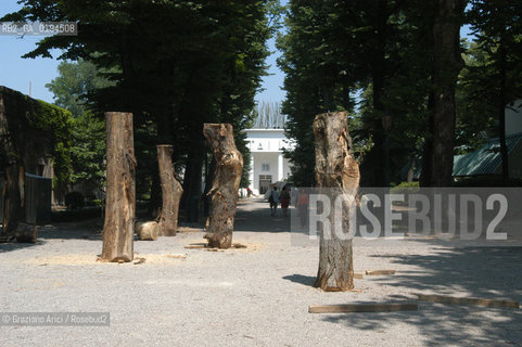 50¡ ESPOSIZIONE INTERNAZIONALE DARTE LA BIENNALE DI VENEZIA .- ©Graziano Arici/Rosebud2